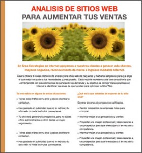 Reporte Analisis sitios web Area Optima